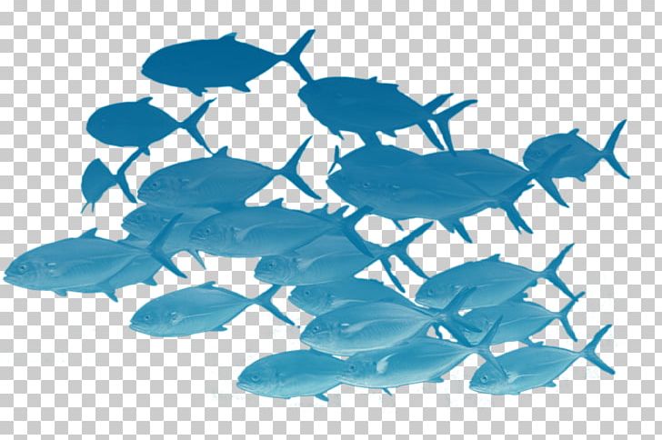 Fishing Shoaling And Schooling Herring PNG, Clipart, Animal, Animals, Blue, Bottlenose Dolphin, Breed Free PNG Download