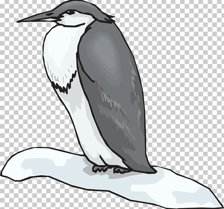 King Penguin Bird Black And White PNG, Clipart, Animals, Beak, Bird, Bird Cage, Birds Free PNG Download