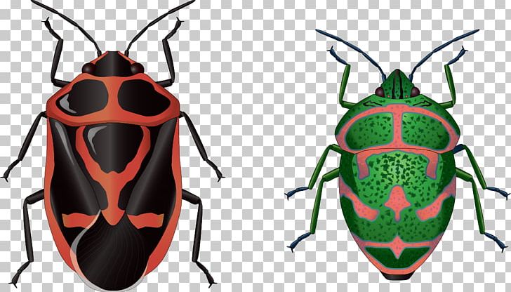 Beetle Euclidean PNG, Clipart, Animals, Arthropod, Beetle, Color, Encapsulated Postscript Free PNG Download