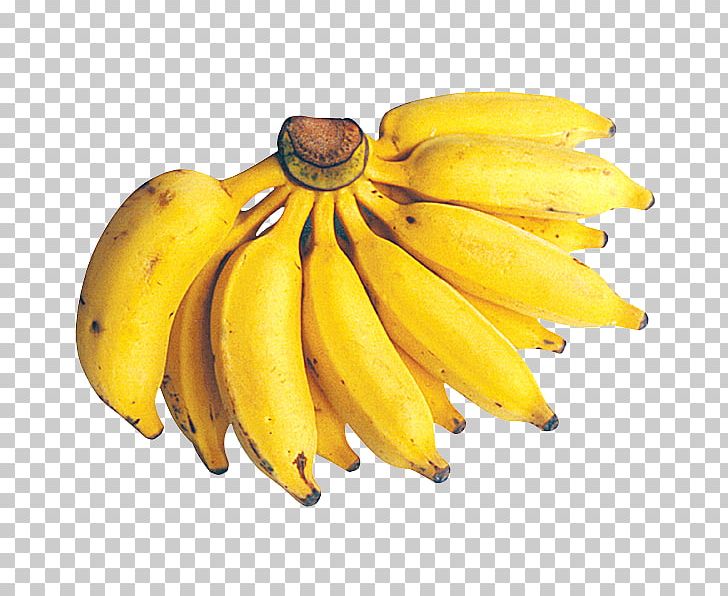 Dwarf Cavendish Banana Fruit Cooking Banana Lady Finger Banana PNG, Clipart, Avocado, Banana, Banana Family, Cavendish Banana, Cooking Banana Free PNG Download