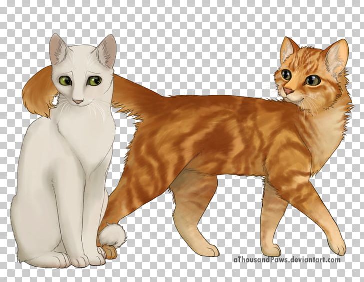 Kitten Manx Cat American Wirehair Whiskers Art PNG, Clipart, American Wirehair, Animals, Art, Artist, Asian Free PNG Download