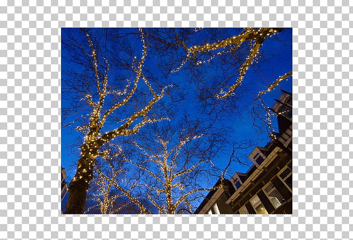 Upington Majorelle Blue Sky Azure PNG, Clipart, Azure, Blue, Branch, Christmas Lights, Larch Free PNG Download