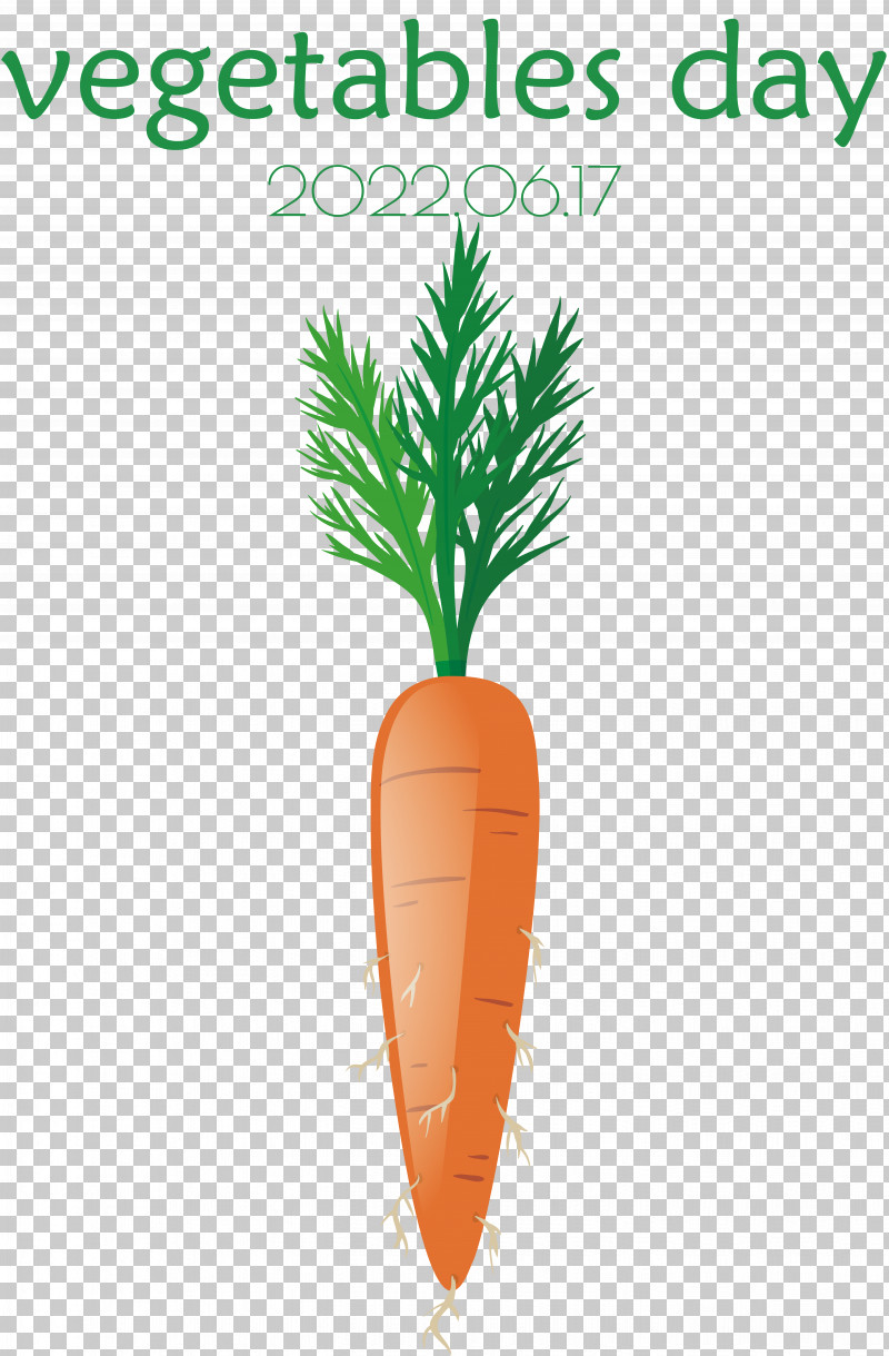 Salad PNG, Clipart, Carrot, Cartoon, Drawing, Leaf, Root Vegetables Free PNG Download