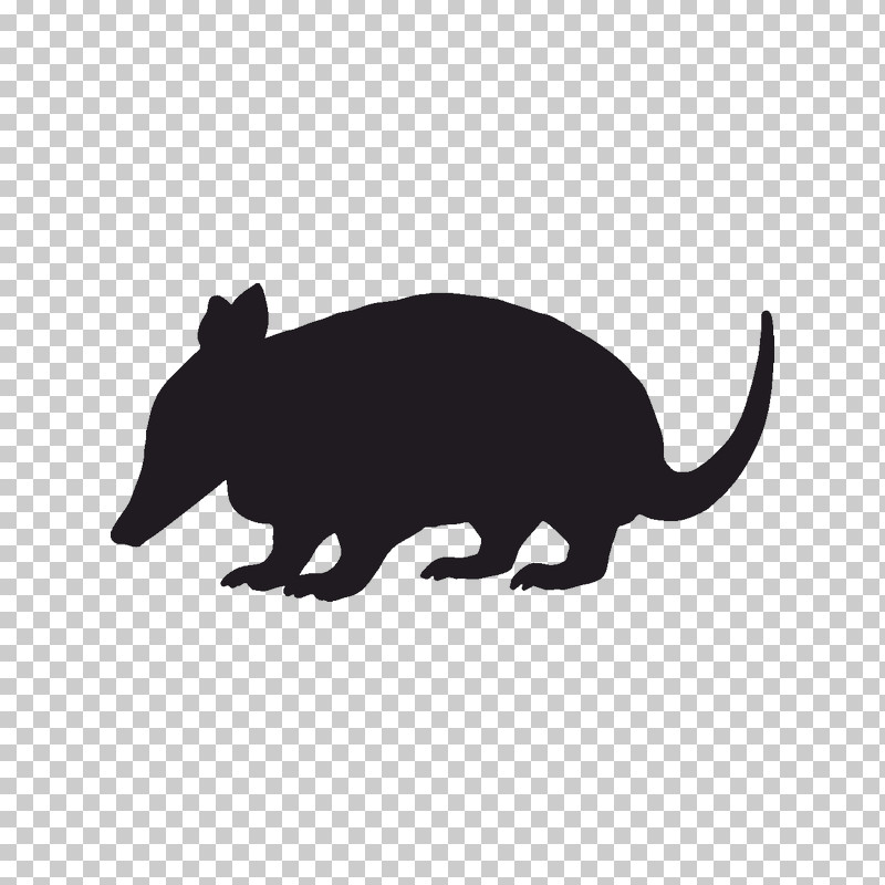 Snout Rat Wildlife Animal Figure Tail PNG, Clipart, Animal Figure, Rat, Snout, Tail, Wildlife Free PNG Download