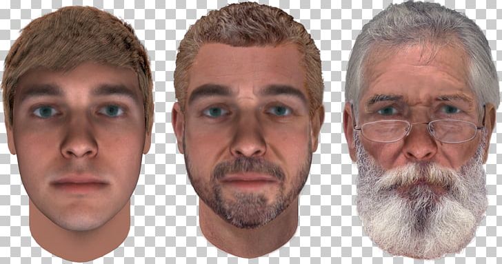 DNA Phenotyping Phenotype Forensic Science DNA Profiling Facial Hair PNG, Clipart, Beard, Cheek, Chin, Dna, Dna Phenotyping Free PNG Download