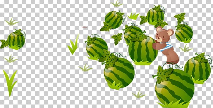 Watermelon Fruit PNG, Clipart, Adobe Illustrator, Artworks, Cartoon, Cartoon Watermelon, Download Free PNG Download