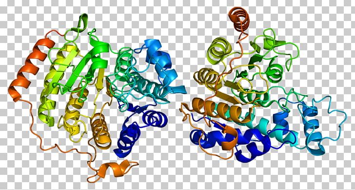 Histone Deacetylase Inhibitor HDAC8 Histone Code PNG, Clipart, 1 T, Acetylation, Chromatin, Enzyme, Graphic Design Free PNG Download