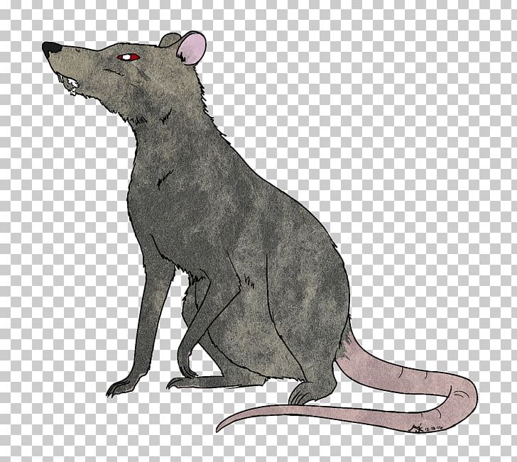 Rat Rodent Mammal Fauna Canidae PNG, Clipart, Animal, Animals, Art, Canidae, Carnivora Free PNG Download