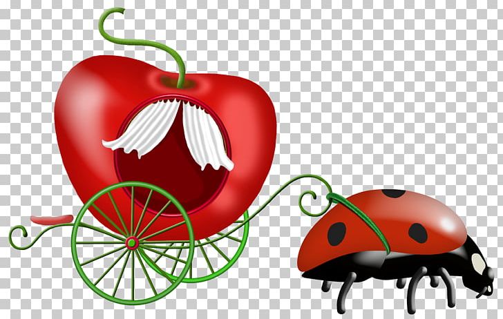 Ladybird PNG, Clipart, Adobe Illustrator, Albom, Apple, Apple Fruit, Apple Logo Free PNG Download