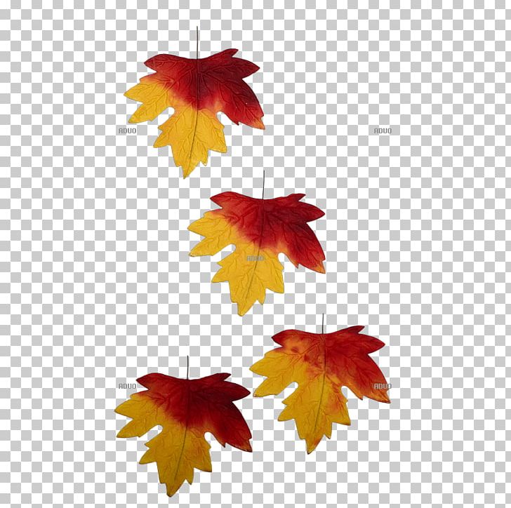 Autumn Leaf Color Autumn Leaf Color Petal Tendril PNG, Clipart, Autumn, Autumn Leaf Color, Brt Spa, Color, Computer Icons Free PNG Download