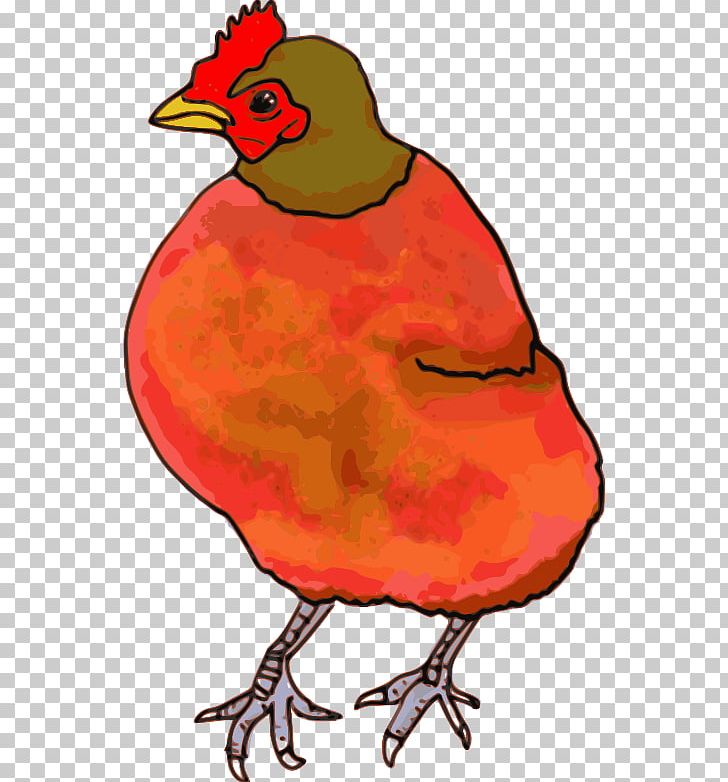 Chicken PNG, Clipart, Artwork, Beak, Bird, Chicken, Clipgrab Free PNG Download