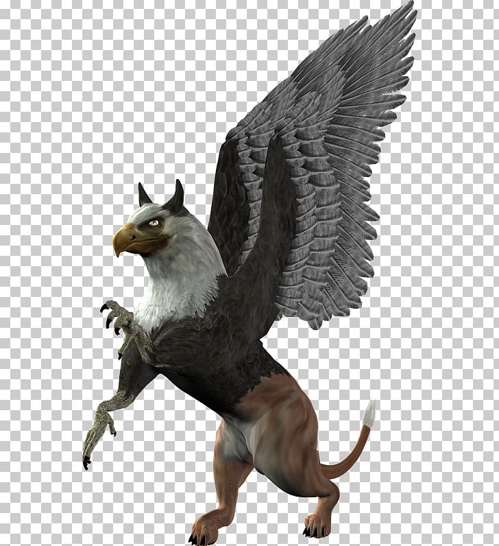 Griffin PNG, Clipart, Directory, Fauna, Griffin, Heraldry, Megabyte Free PNG Download