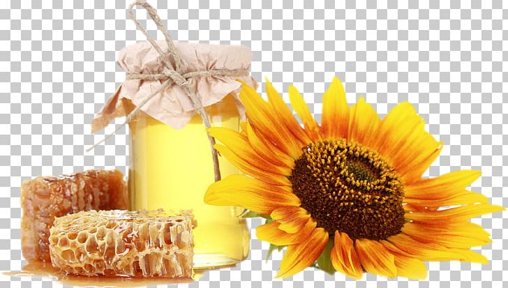 Honey Bee Honeycomb Vegetarian Cuisine PNG, Clipart, Bees Honey, Buckwheat, Calendula, Creamed Honey, Dessert Free PNG Download