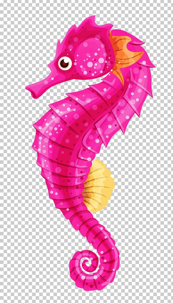 Seahorse PNG, Clipart, Animal, Animals, Clip Art, Download, Drawing Free PNG Download