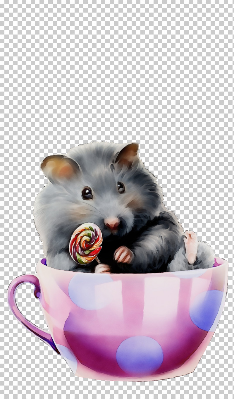 Hamster PNG, Clipart, Biology, Cat, Cats M, Computer Mouse, Hamster Free PNG Download