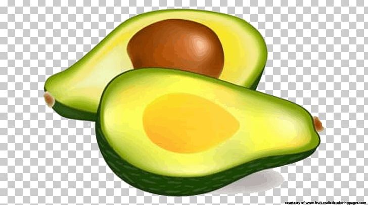 avocado images clip art