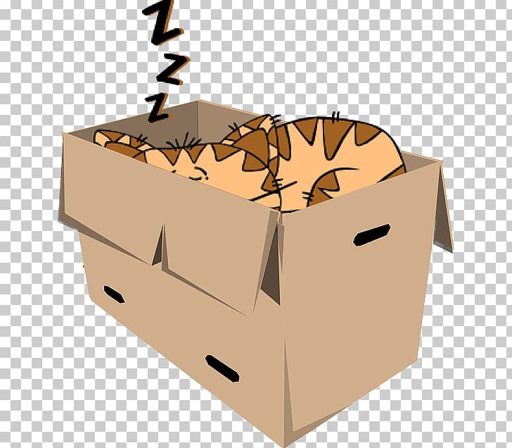 Cat Kitten PNG, Clipart, Animals, Black Cat, Box, Cardboard, Carton Free PNG Download