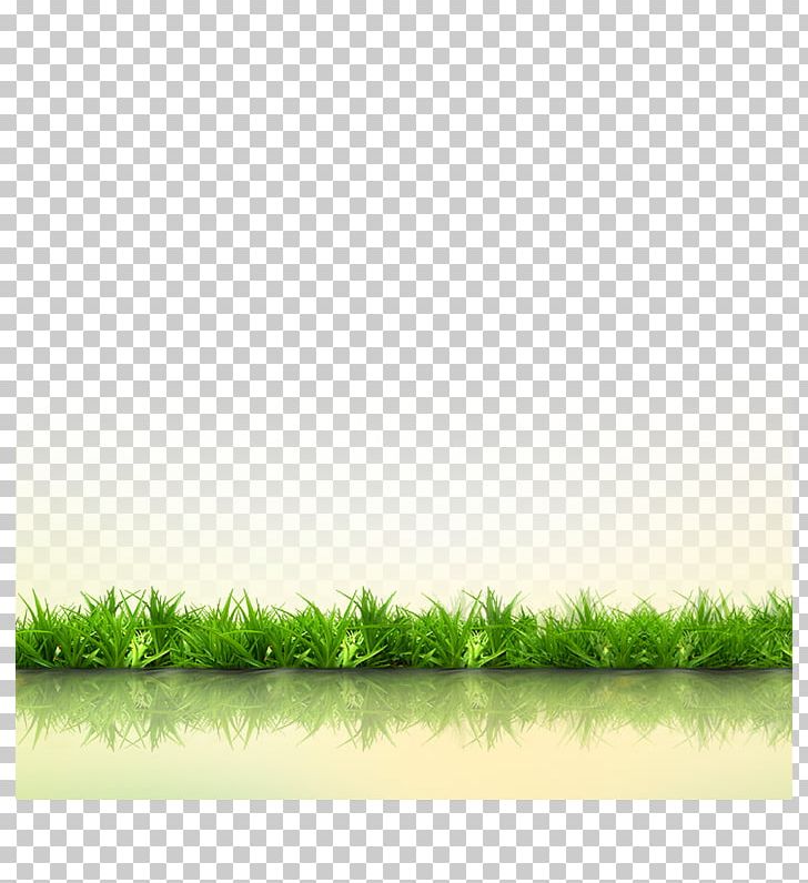 Grass Gratis Computer File PNG, Clipart, Angle, Artificial Grass, Cartoon Grass, Creative Grass, Download Free PNG Download