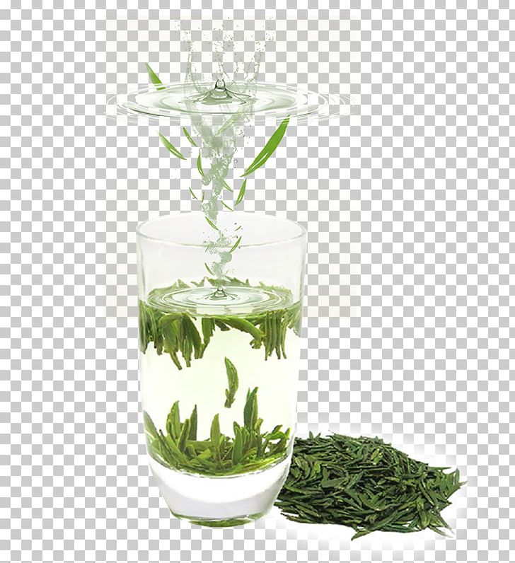 Green Tea Advertising PNG, Clipart, Camellia Sinensis, Drink, Fall Leaves, Flowerpot, Food Drinks Free PNG Download