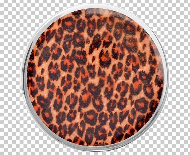 Leopard Silver Coin Animal Print Cat PNG, Clipart, Animal Print, Animals, Big Cat, Big Cats, Carnivoran Free PNG Download