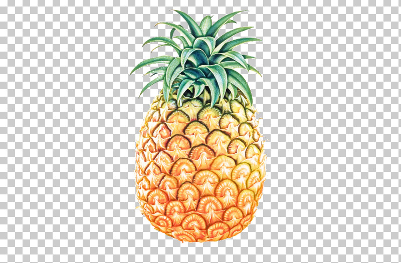 Pineapple PNG, Clipart, Accessory Fruit, Ananas, Food, Fruit, Natural Foods Free PNG Download