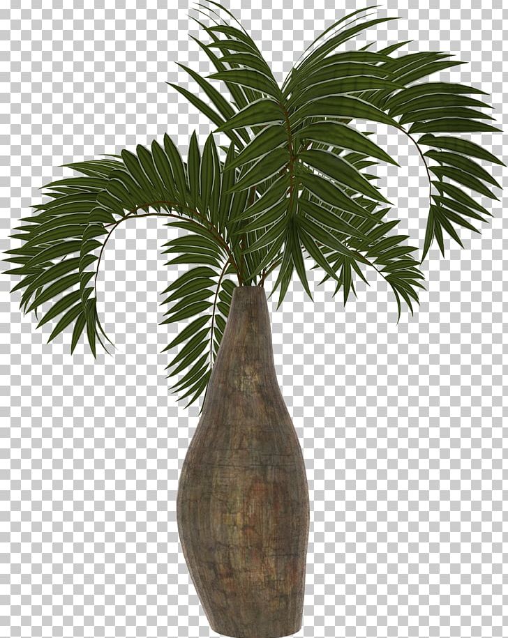 Arecaceae Asian Palmyra Palm Coconut Date Palm Plant PNG, Clipart, Arecaceae, Arecales, Asian Palmyra Palm, Borassus, Borassus Flabellifer Free PNG Download
