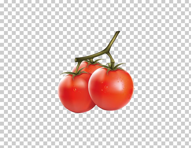 Cherry Tomato Vegetable Fruit PNG, Clipart, Cherry, Chili Pepper, Delicious Vector, Diet Food, Food Free PNG Download