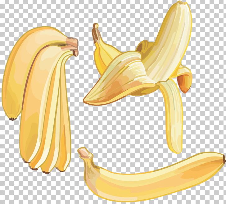 Cooking Banana Fruit Food PNG, Clipart, Autumn, Banana, Banana Family, Cooking Banana, Cooking Plantain Free PNG Download