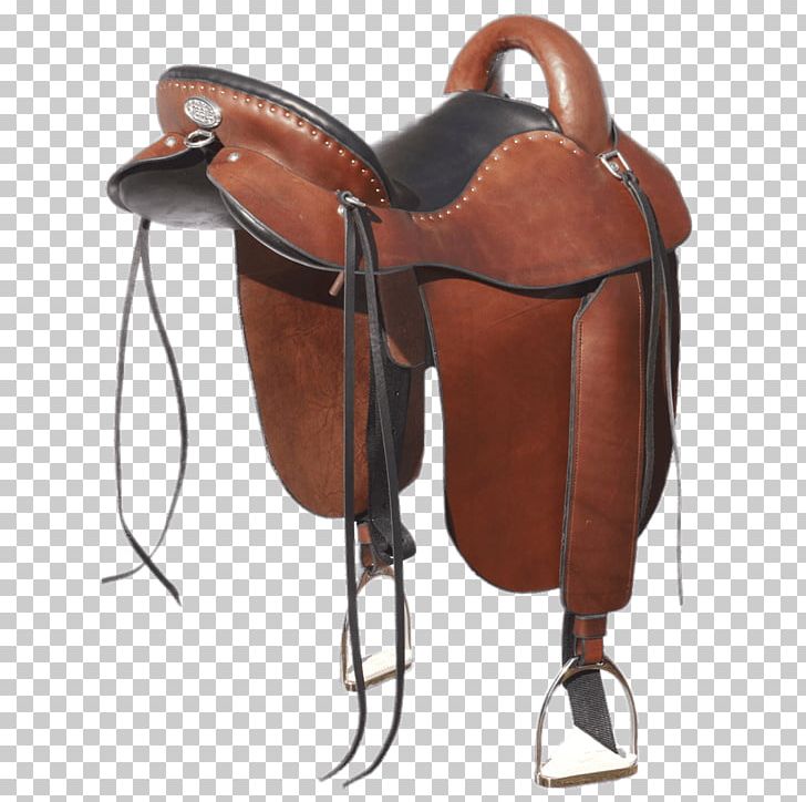 Horse English Saddle Endurance Riding Equestrian PNG, Clipart, Animals, Australian Stock Saddle, Bicycle Saddle, Bridle, Dressage Free PNG Download