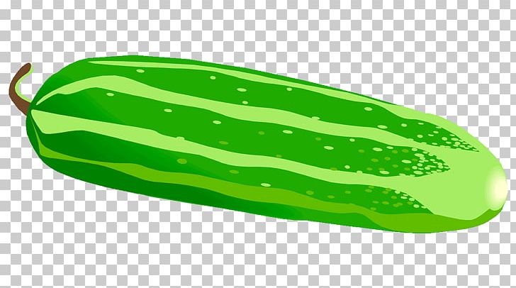 Pickled Cucumber Vegetable PNG, Clipart, Clip Art, Cucumber, Cucumber Gourd And Melon Family, Cucumis, Cucurbita Free PNG Download