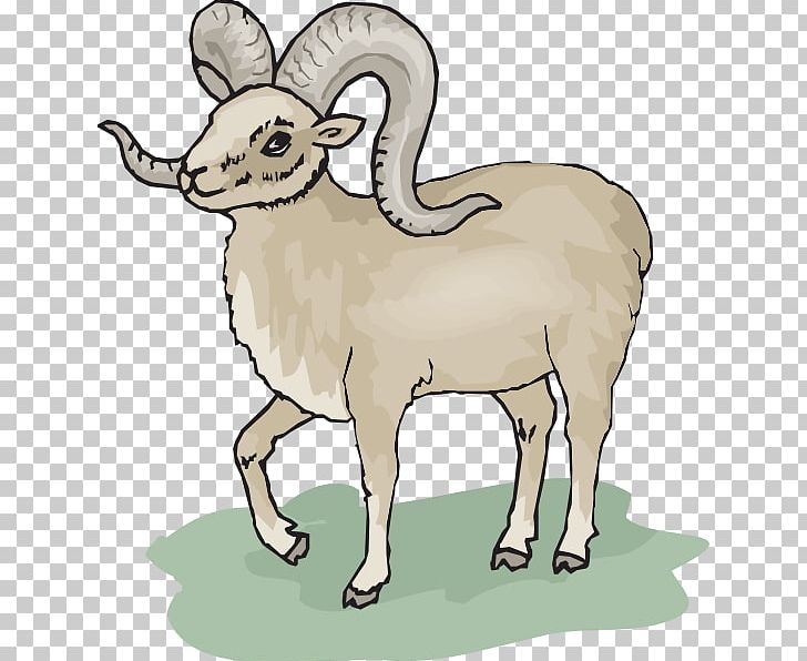 Bighorn Sheep Argali PNG, Clipart, Animal Figure, Argali, Barbary Sheep, Bighorn Sheep, Cattle Like Mammal Free PNG Download