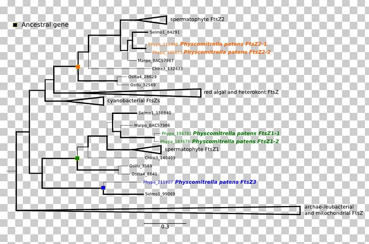 Gene Family Genetics Heredity Regulation Of Gene Expression PNG, Clipart, Angle, Area, Brand, Computer Program, Diagram Free PNG Download