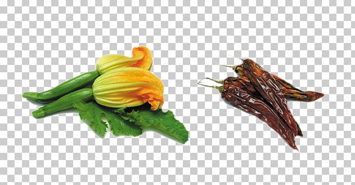 Italian Cuisine Stuffing Squash Blossom Zucchini Flower PNG, Clipart, Background Green, Cooking, Cucurbita, Edible Flower, Eggplant Free PNG Download