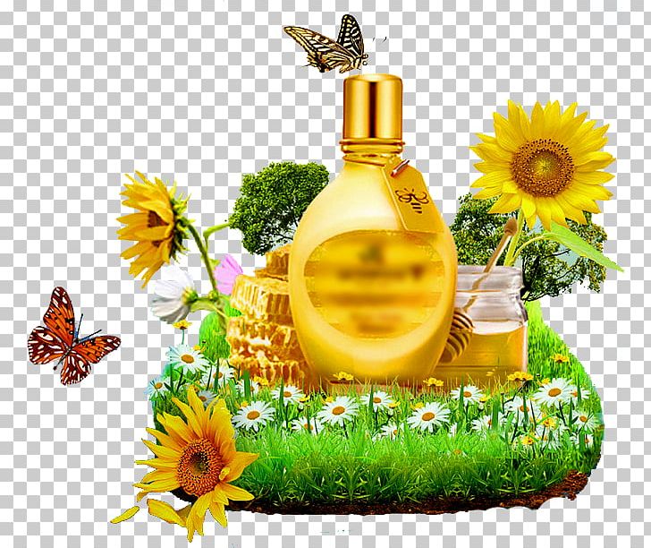 Bee Butterfly Honey PNG, Clipart, Amazing Nature, Beverage, Encapsulated Postscript, Flower, Flowers Free PNG Download