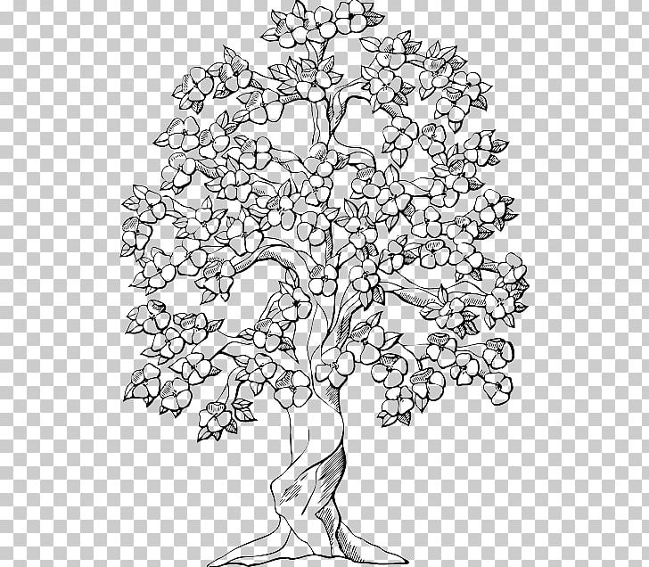 Coloring Book Colouring Pages Tree Oak Trunk PNG, Clipart, Adult, Area, Art, Autumn, Black And White Free PNG Download