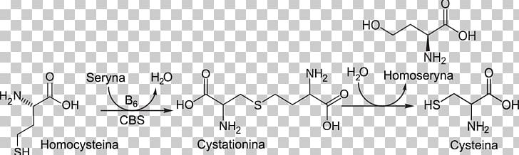 Cystathionine Beta Synthase Homocysteine Wikipedia Pyridoxine PNG, Clipart, Angle, Area, Beta, Black And White, Chemical Reaction Free PNG Download
