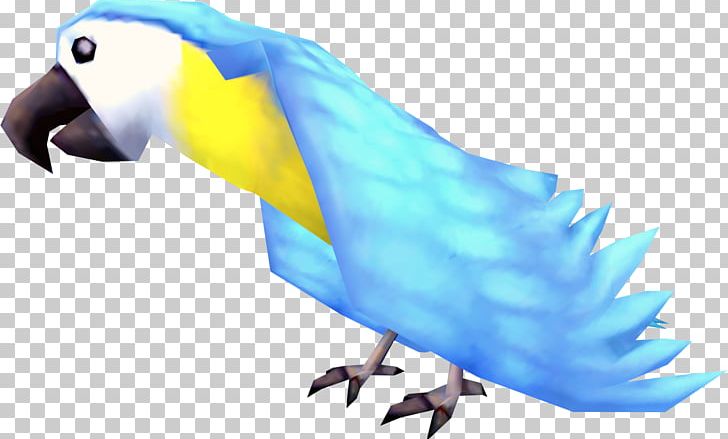 RuneScape Parrot Bird Macaw Parakeet PNG, Clipart, Animal, Animals, Beak, Bird, Common Pet Parakeet Free PNG Download