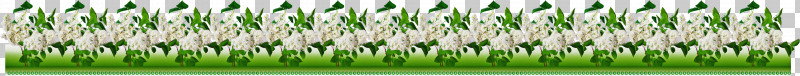 Flower Border Flower Background Floral Line PNG, Clipart, Floral Line, Flower Background, Flower Border, Grass, Green Free PNG Download