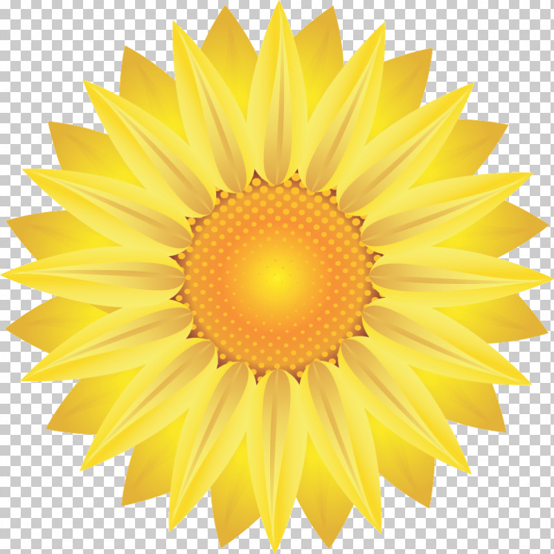 Sunflower Summer Flower PNG, Clipart, Drawing, Logo, Royaltyfree, Summer Flower, Sunflower Free PNG Download