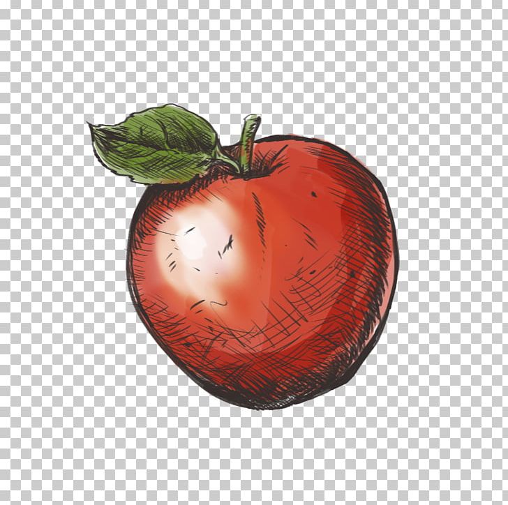 Apple PNG, Clipart, Apple, Food, Fruit, Plant Free PNG Download
