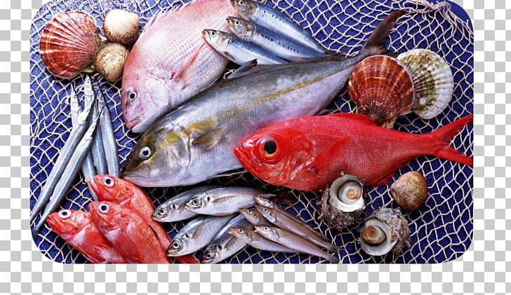 Fish Seafood Atlantic Salmon PNG, Clipart, Animals, Animal Source Foods, Atlantic Salmon, Cuisine, Fishery Free PNG Download