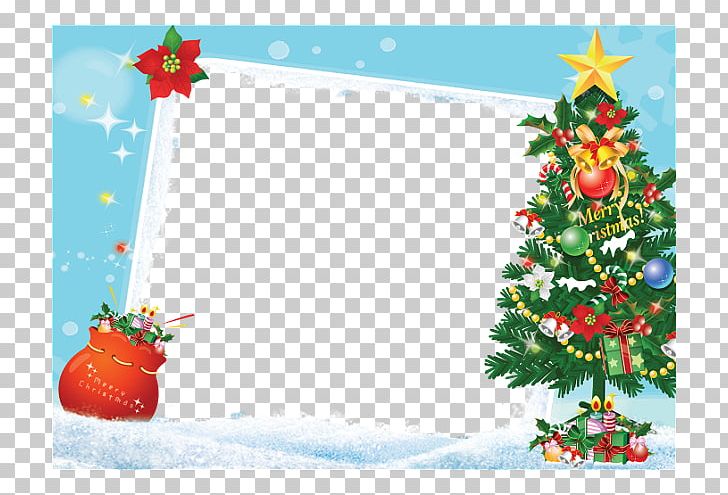 Frames Christmas Tree Photography Gift PNG, Clipart, Aquifoliaceae, Branch, Christmas, Christmas Card, Christmas Decoration Free PNG Download