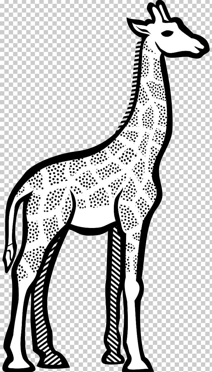 Giraffe Line Art Drawing PNG, Clipart, Animal Figure, Animals, Art, Artwork, Black And White Free PNG Download