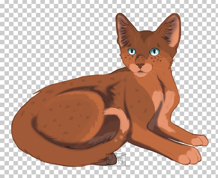 Havana Brown Abyssinian Kitten Whiskers Warriors PNG, Clipart, Abyssinian, Animals, Art, Carnivoran, Cat Free PNG Download