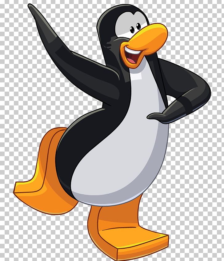 King Penguin Club Penguin Original Penguin Clothing PNG, Clipart, Animals,  Beak, Bird, Clothing, Club Free PNG