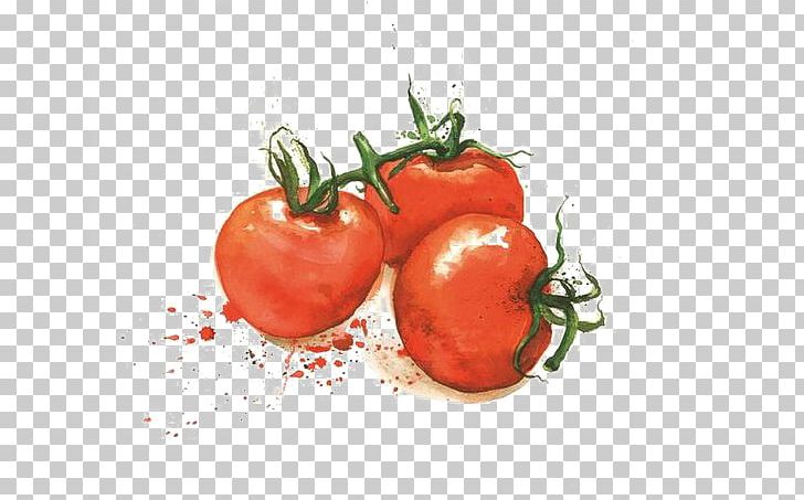 Tomato Varenye Fruit Vegetable Illustration PNG, Clipart, Cooking, Food, Fruit, Natural Foods, Nightshade Family Free PNG Download