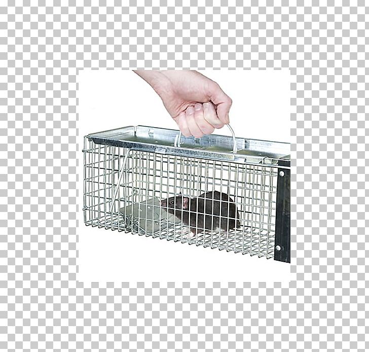 Trapping Rat Mousetrap Cage PNG, Clipart, Animals, Animal Trap, Cage, Fish Trap, Mouse Free PNG Download