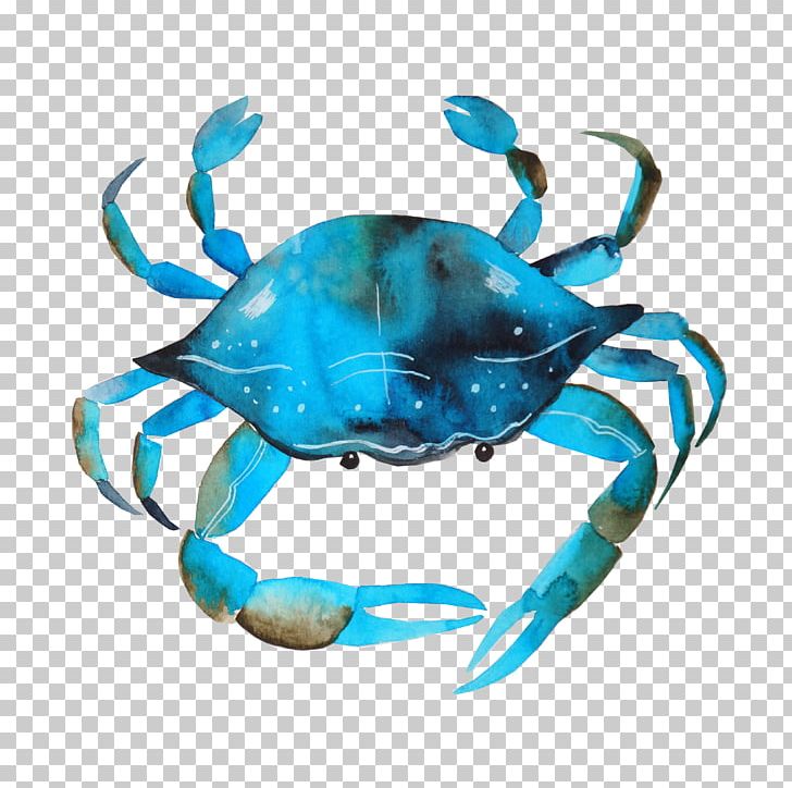 Chesapeake Blue Crab Watercolor Painting Photography Printmaking PNG, Clipart, Animals, Animal Source Foods, Art, Blue, Color Free PNG Download