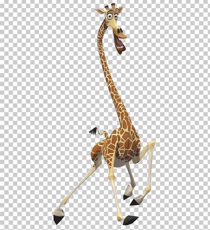 Giraffe Melman Gloria Skipper Kowalski PNG, Clipart,  Free PNG Download