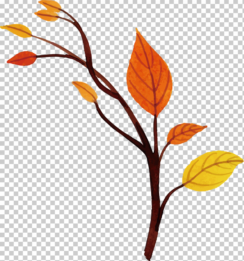 Autumn Leaf PNG, Clipart, Autumn Leaf, Biology, Cut Flowers, Flora, Flower Free PNG Download